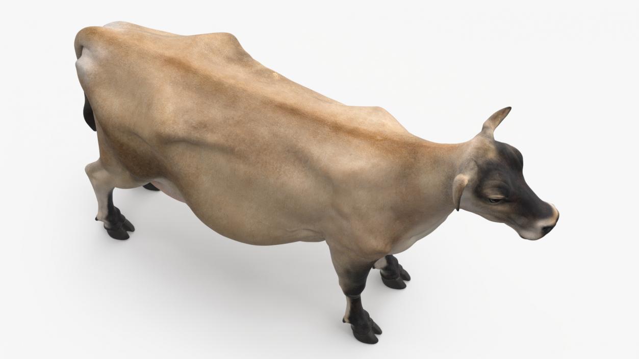 3D Jersey Dairy Cow