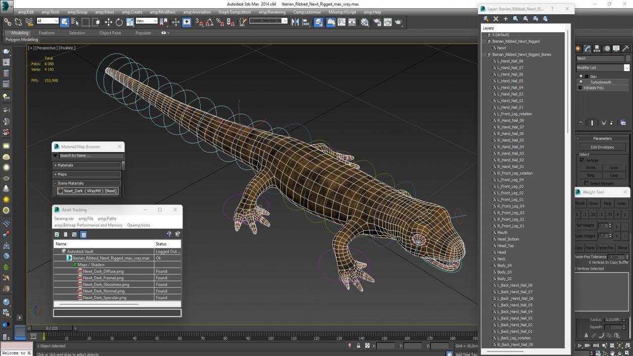 3D Iberian Ribbed Newt Rigged