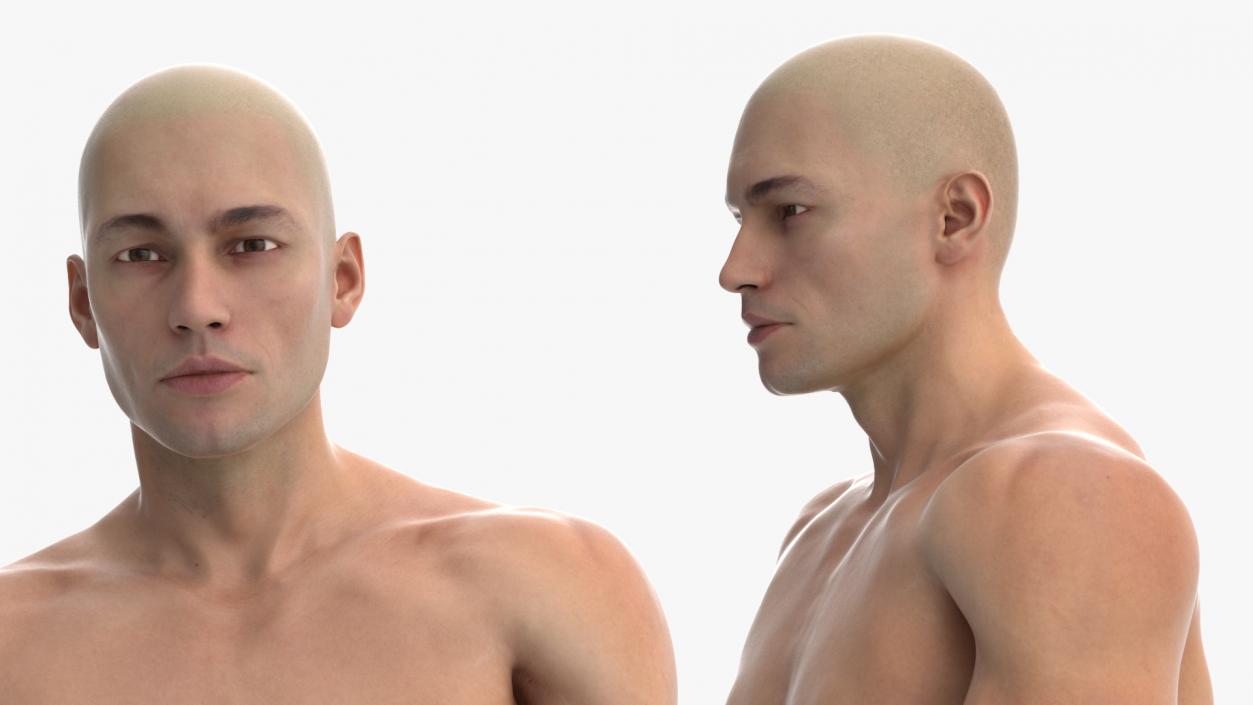 3D model Male Physique Character Rigged