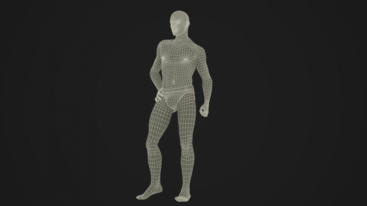 3D model Male Physique Character Rigged