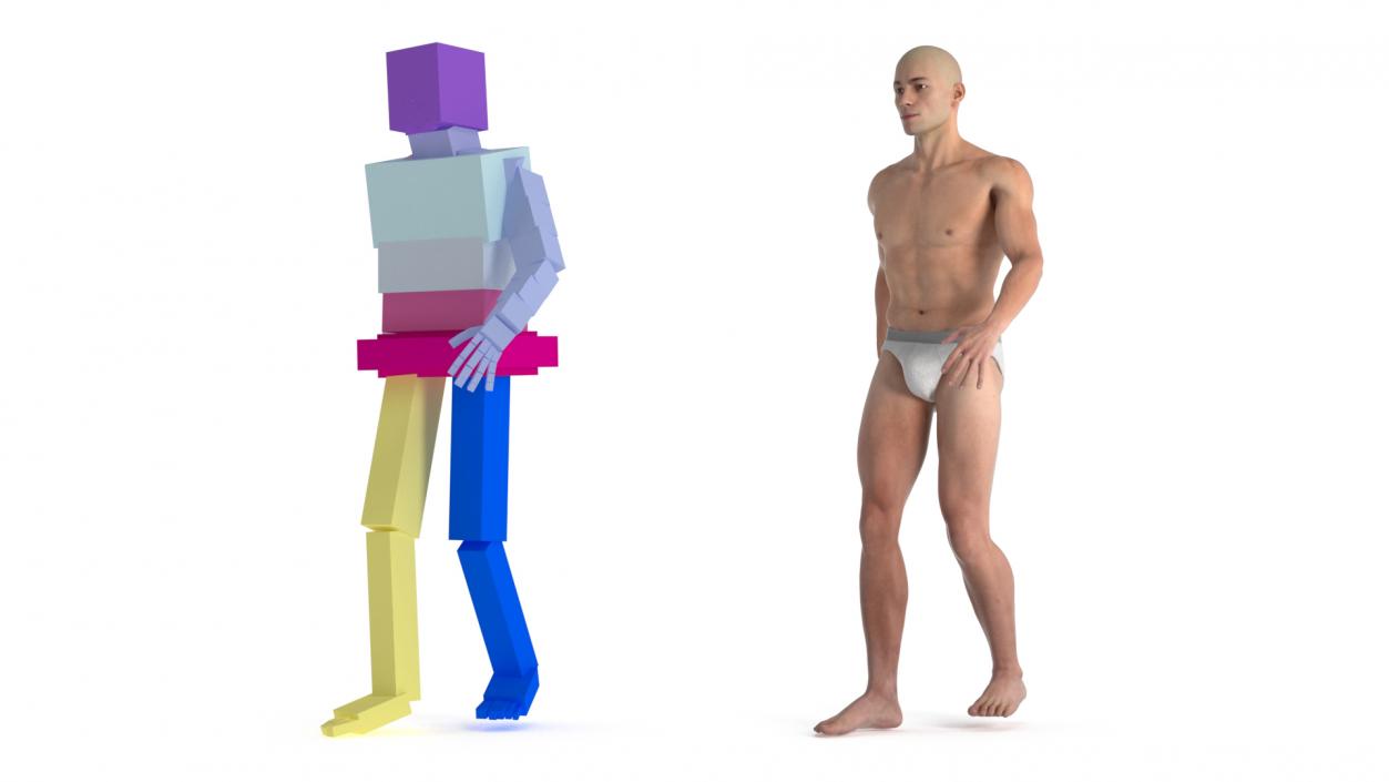 3D model Male Physique Character Rigged