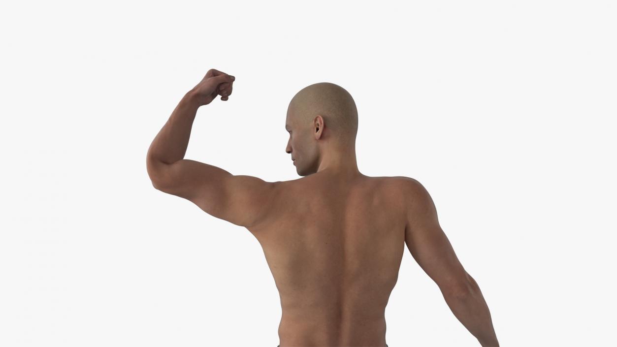 3D model Male Physique Character Rigged