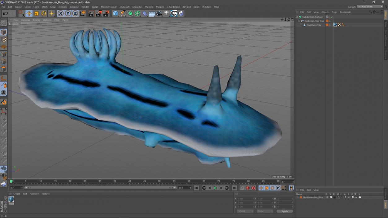 Nudibranchia Blue 3D