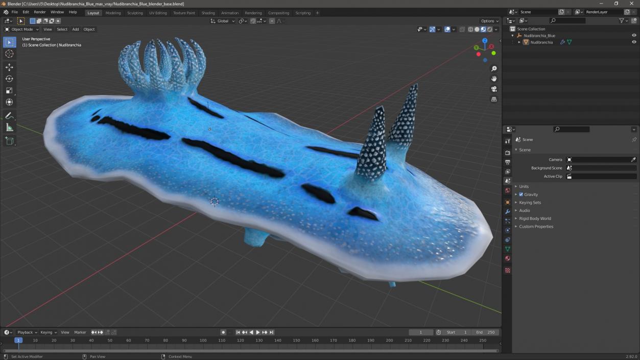 Nudibranchia Blue 3D