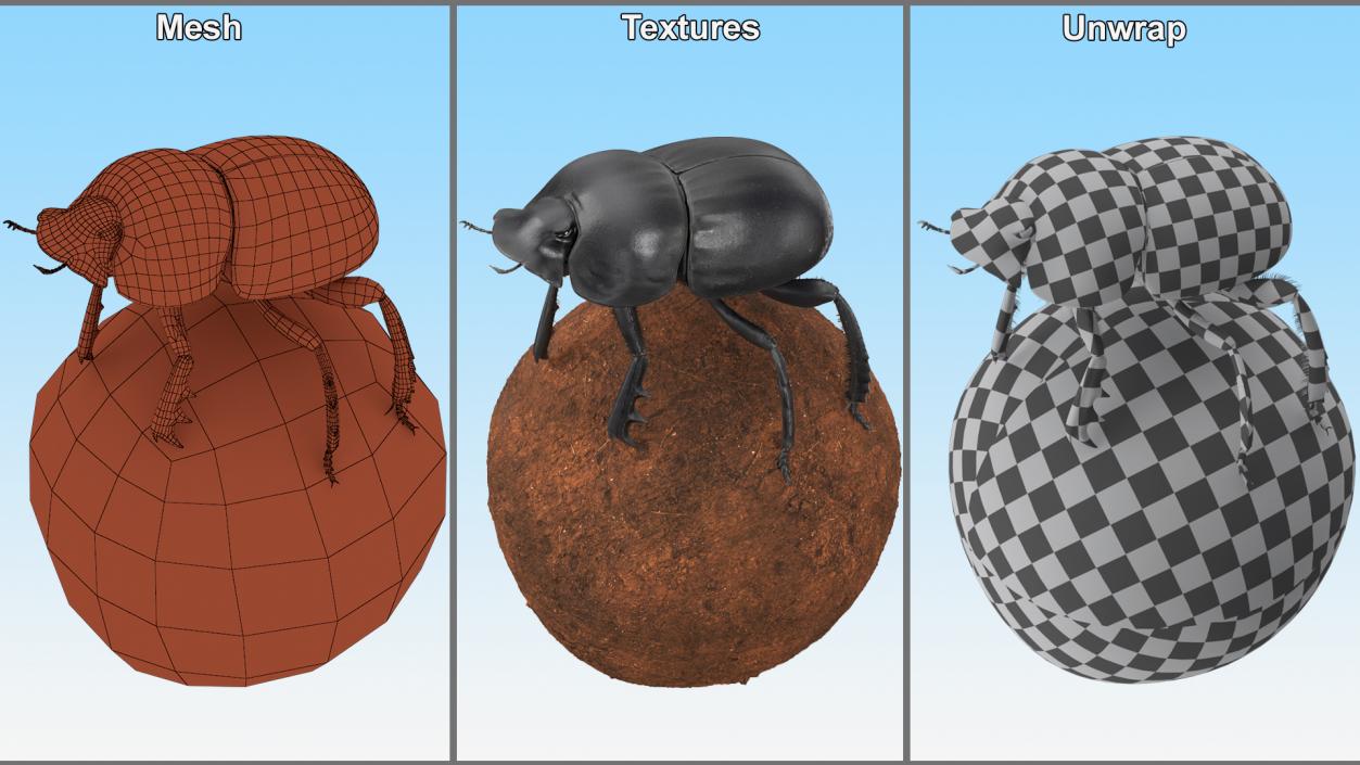 3D model Soil Beetle on Sphere Fur