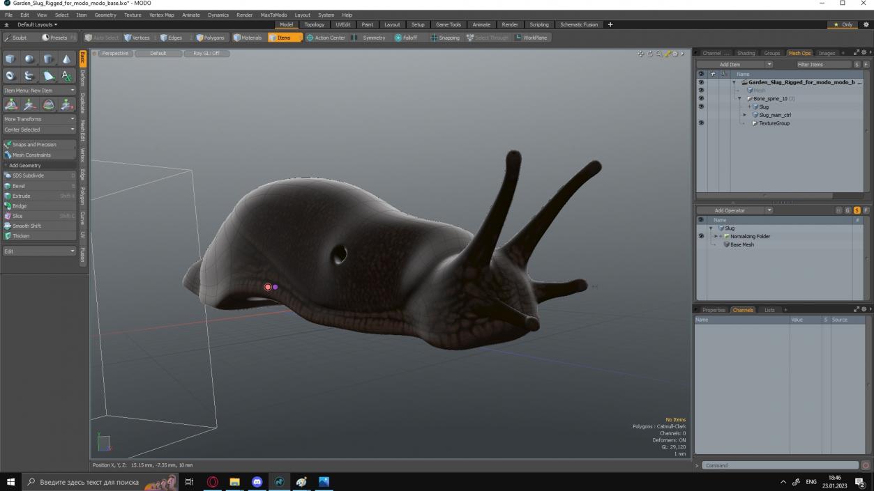 Garden Slug Rigged for Modo 3D