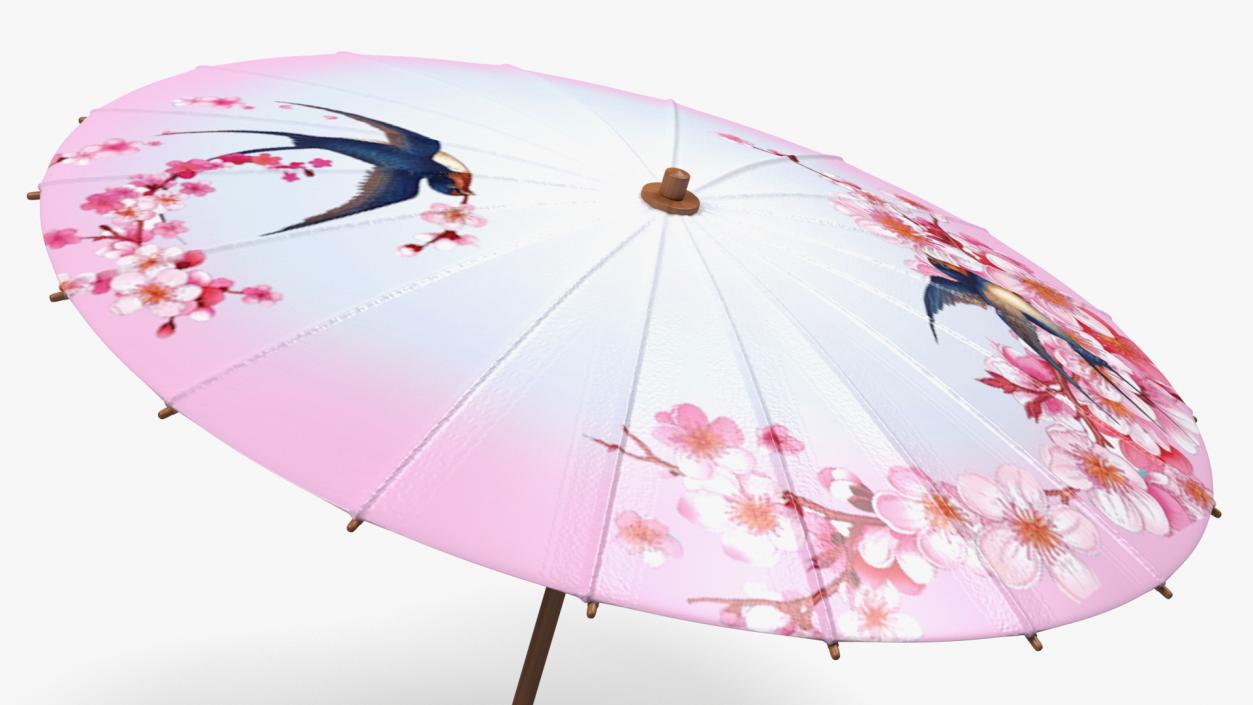 3D Traditional Chinese Umbrella model