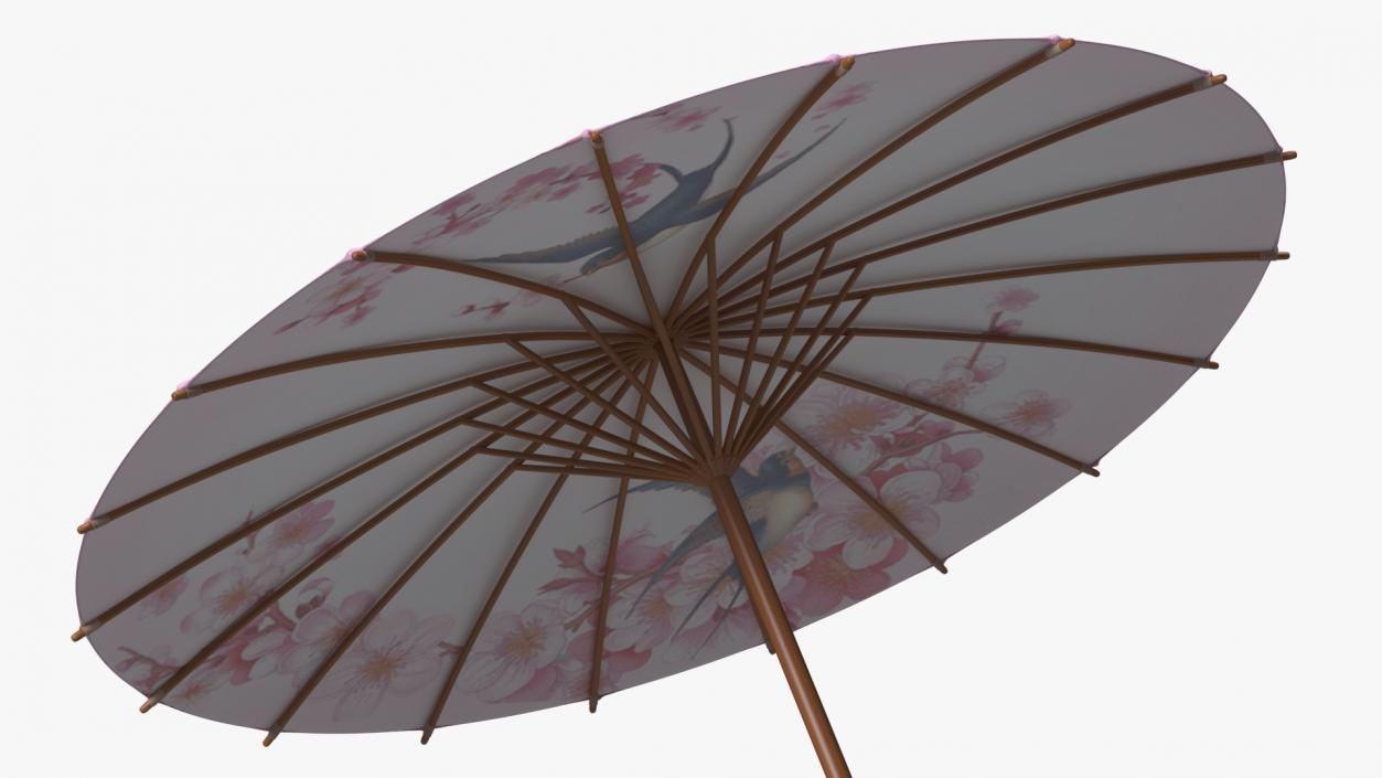 3D Traditional Chinese Umbrella model