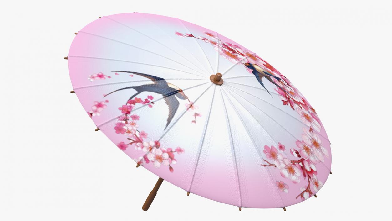 3D Traditional Chinese Umbrella model