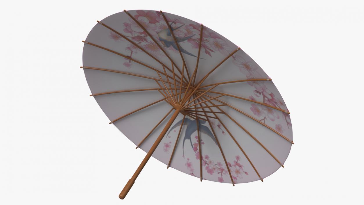 3D Traditional Chinese Umbrella model