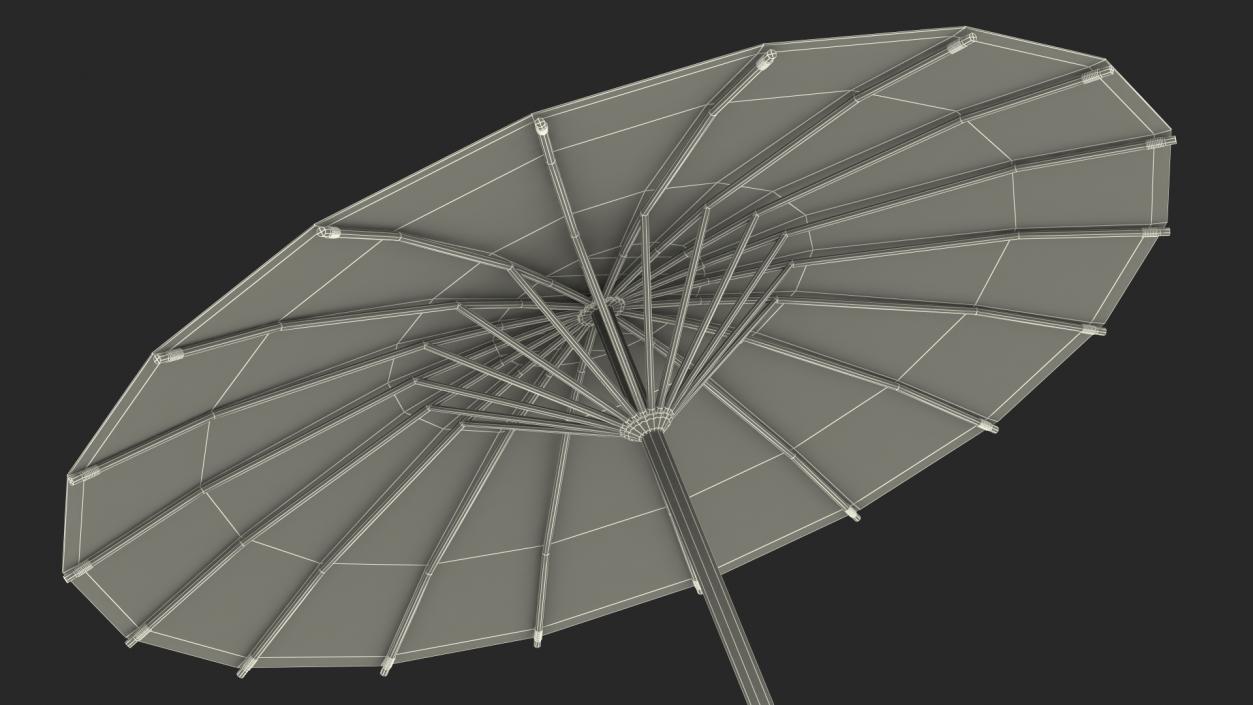 3D Traditional Chinese Umbrella model