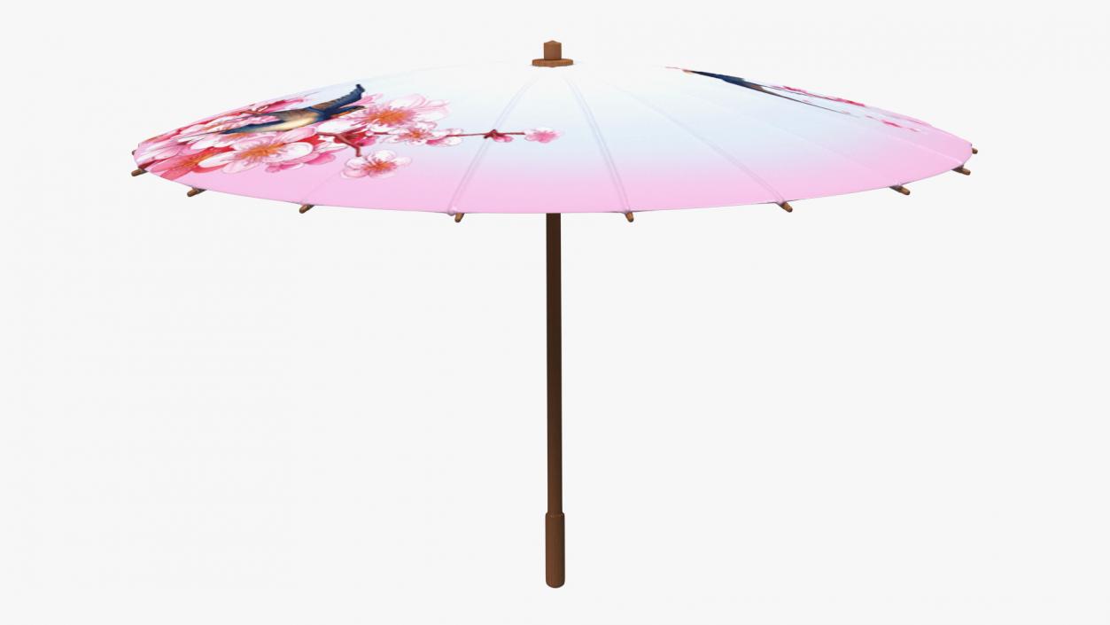 3D Traditional Chinese Umbrella model