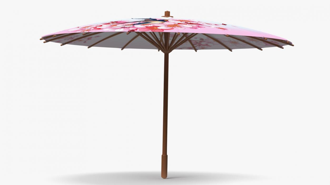 3D Traditional Chinese Umbrella model