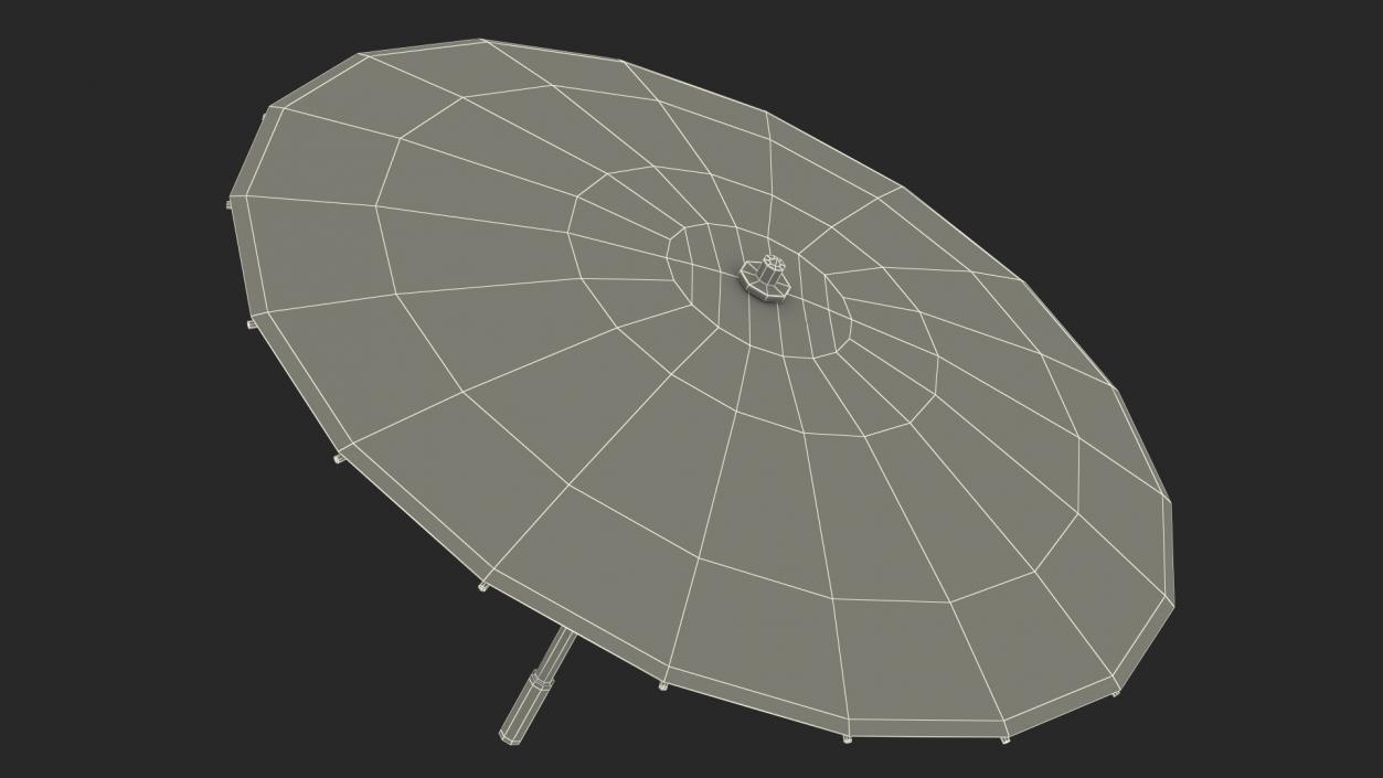 3D Traditional Chinese Umbrella model