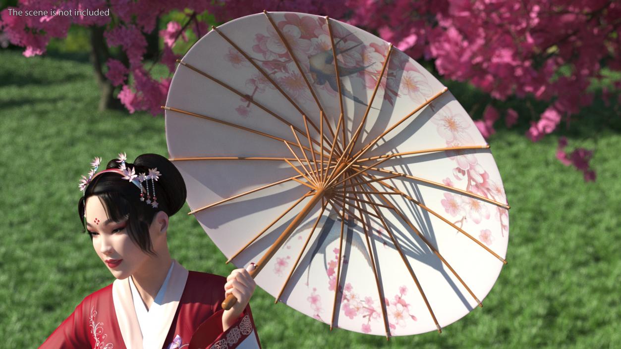 3D Traditional Chinese Umbrella model