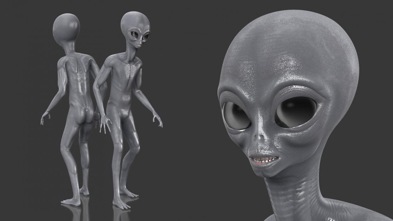 Alien Rigged 3D