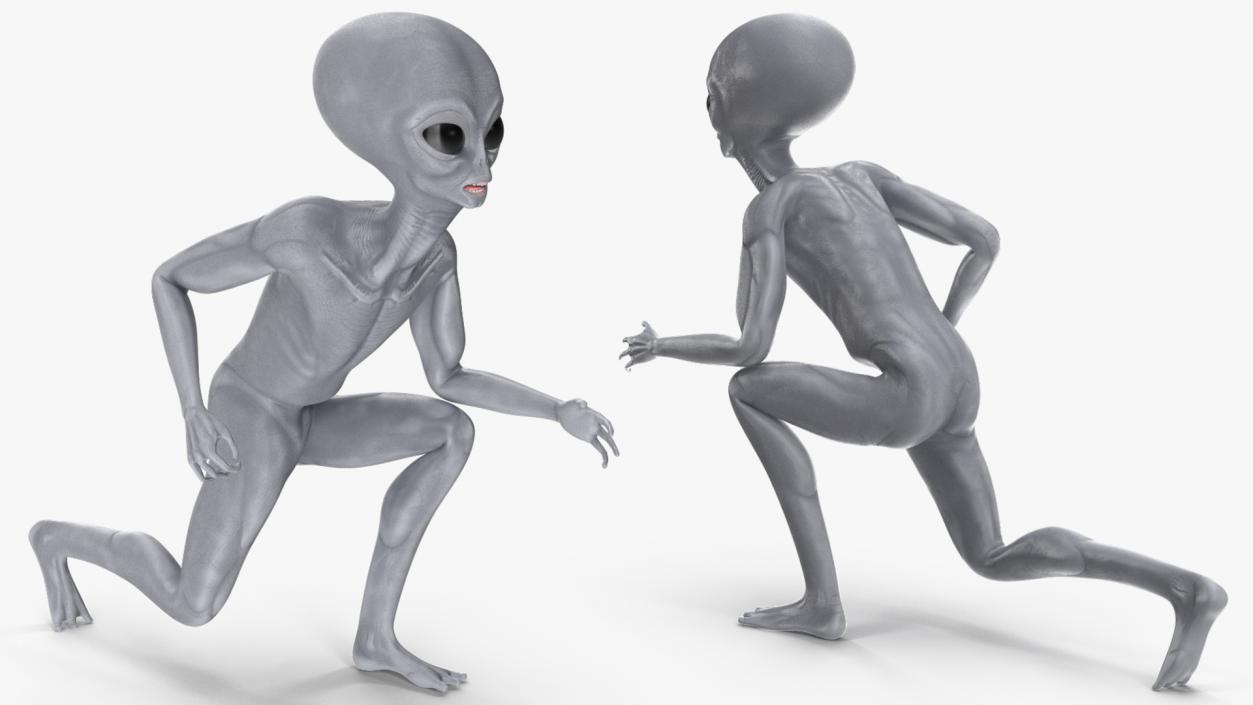 Alien Rigged 3D