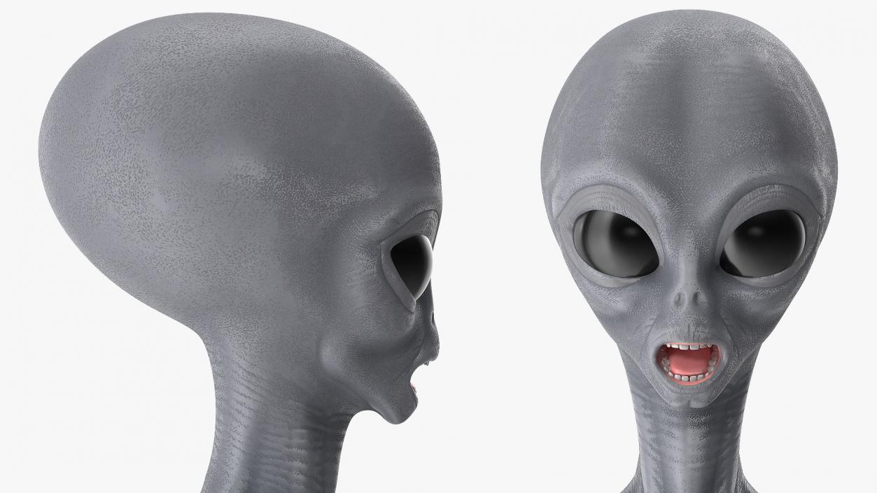 Alien Rigged 3D