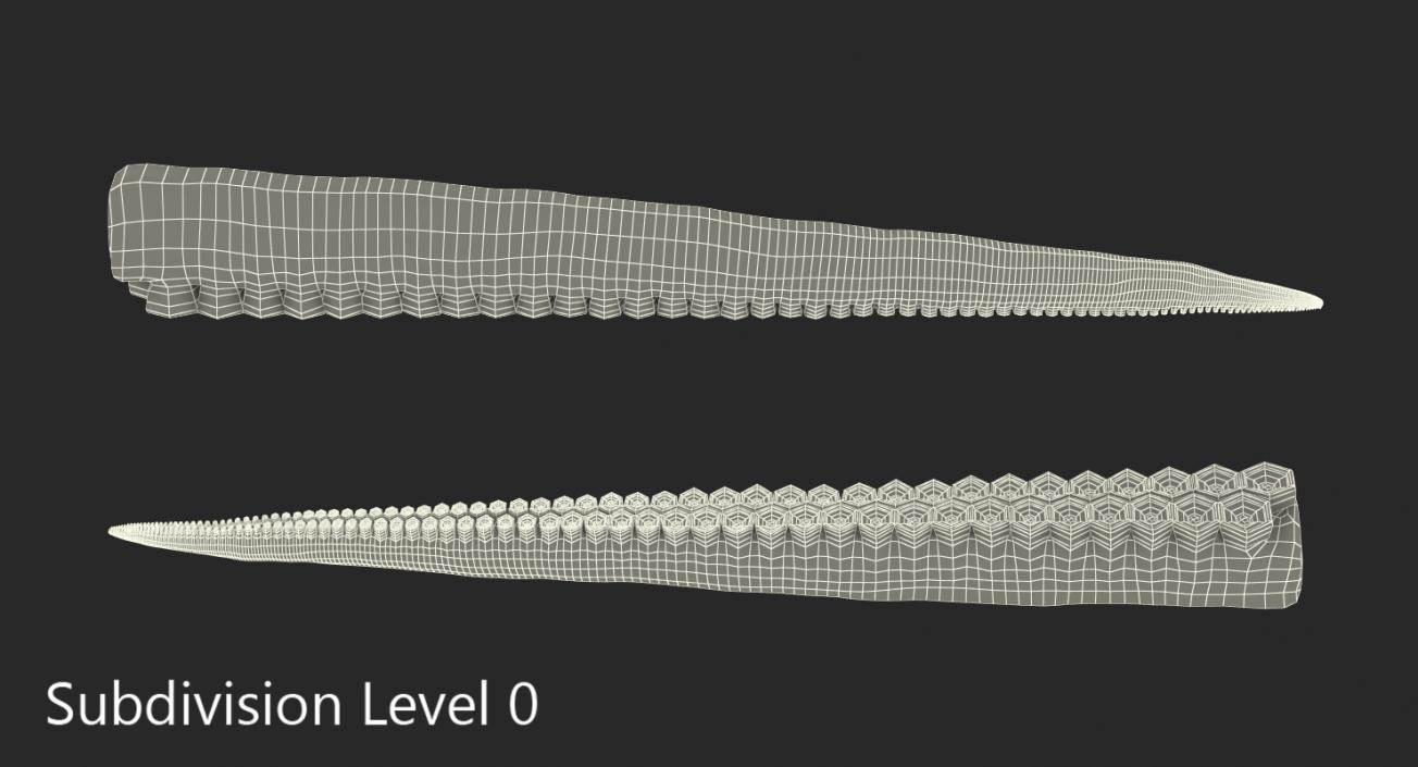 3D Octopus Tentacle Rigged model