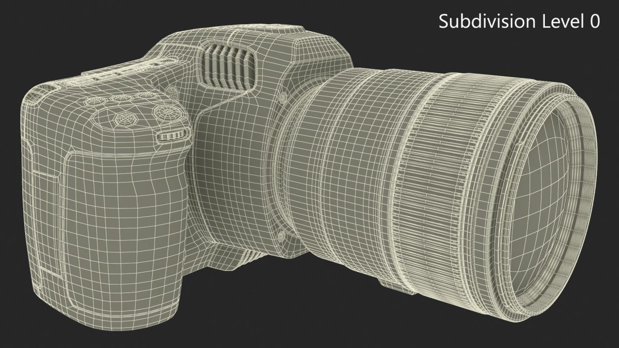 Modern Professional Camera Light On with Lens 2 3D