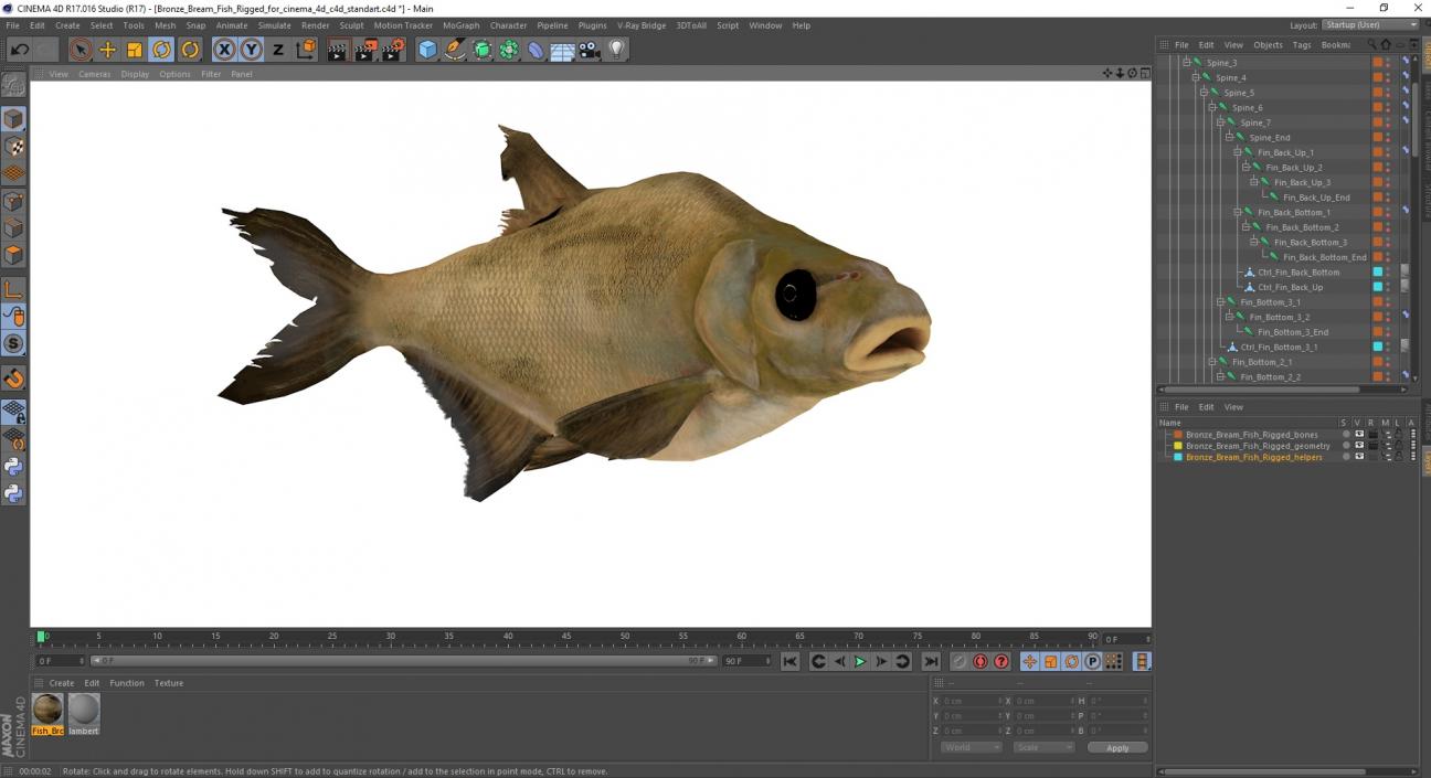 3D Bronze Bream Fish Rigged for Cinema 4D model