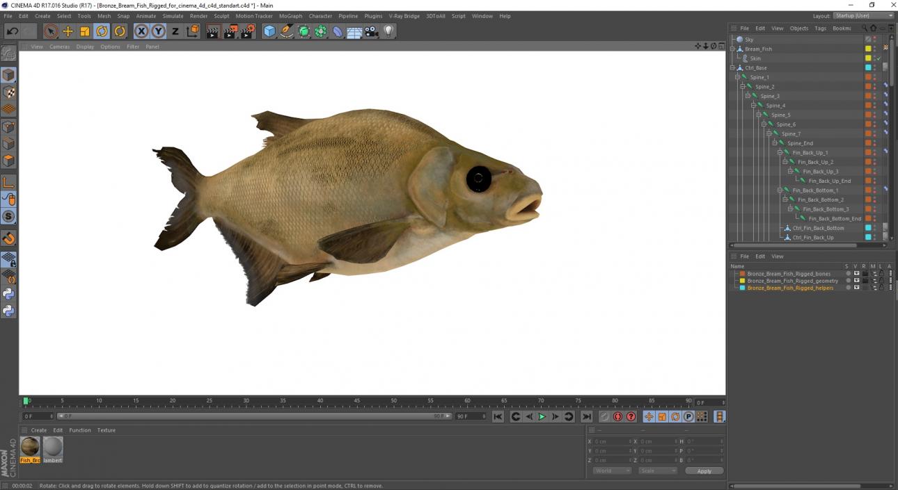 3D Bronze Bream Fish Rigged for Cinema 4D model