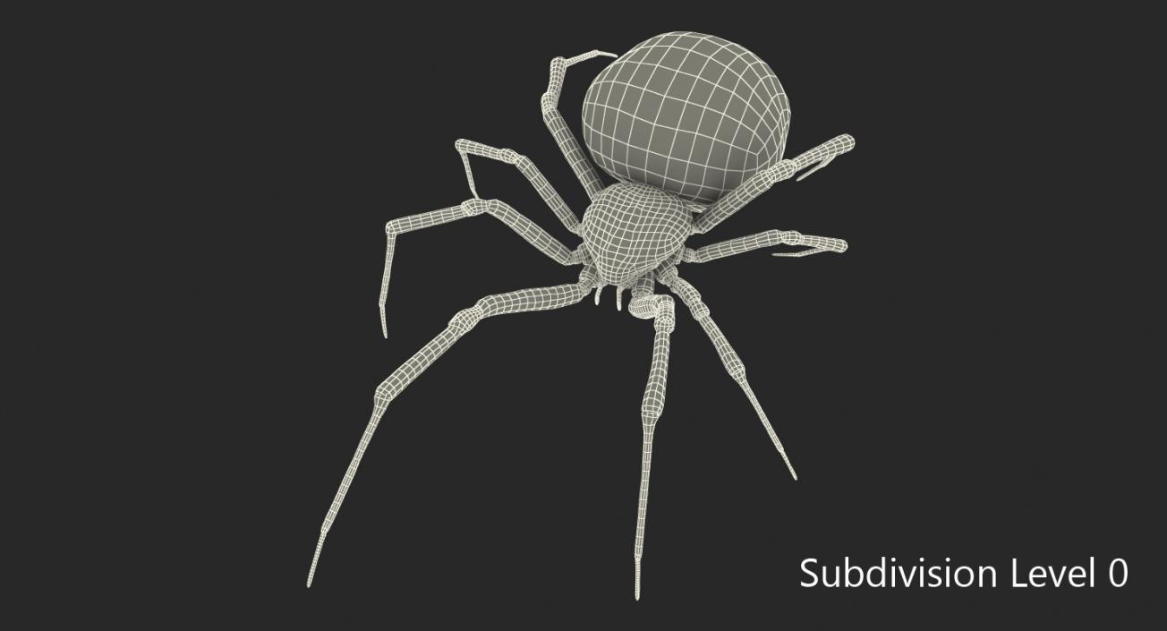 Widow Spider 3D