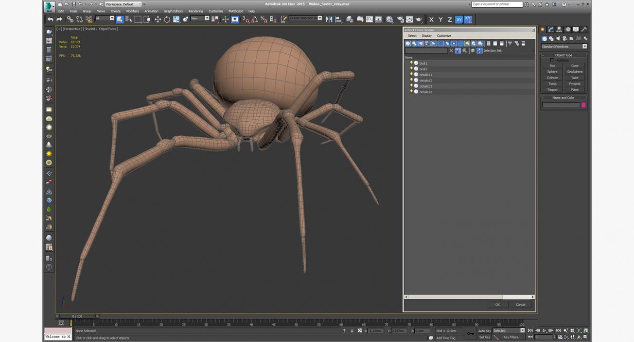 Widow Spider 3D