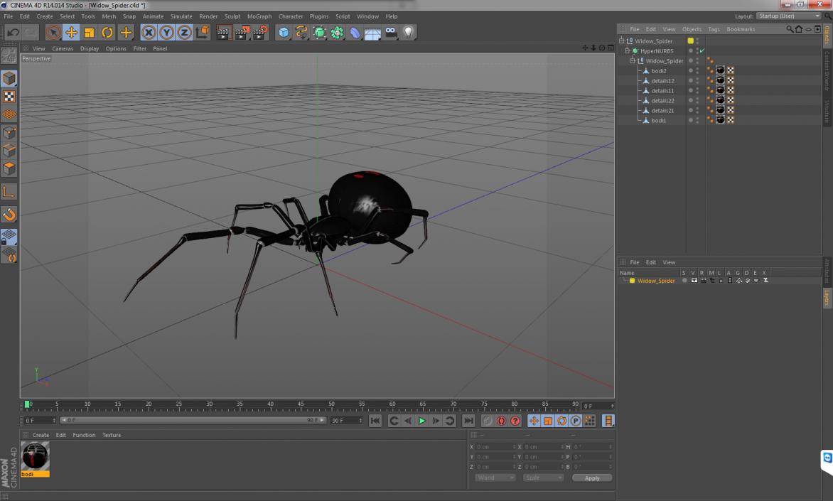 Widow Spider 3D