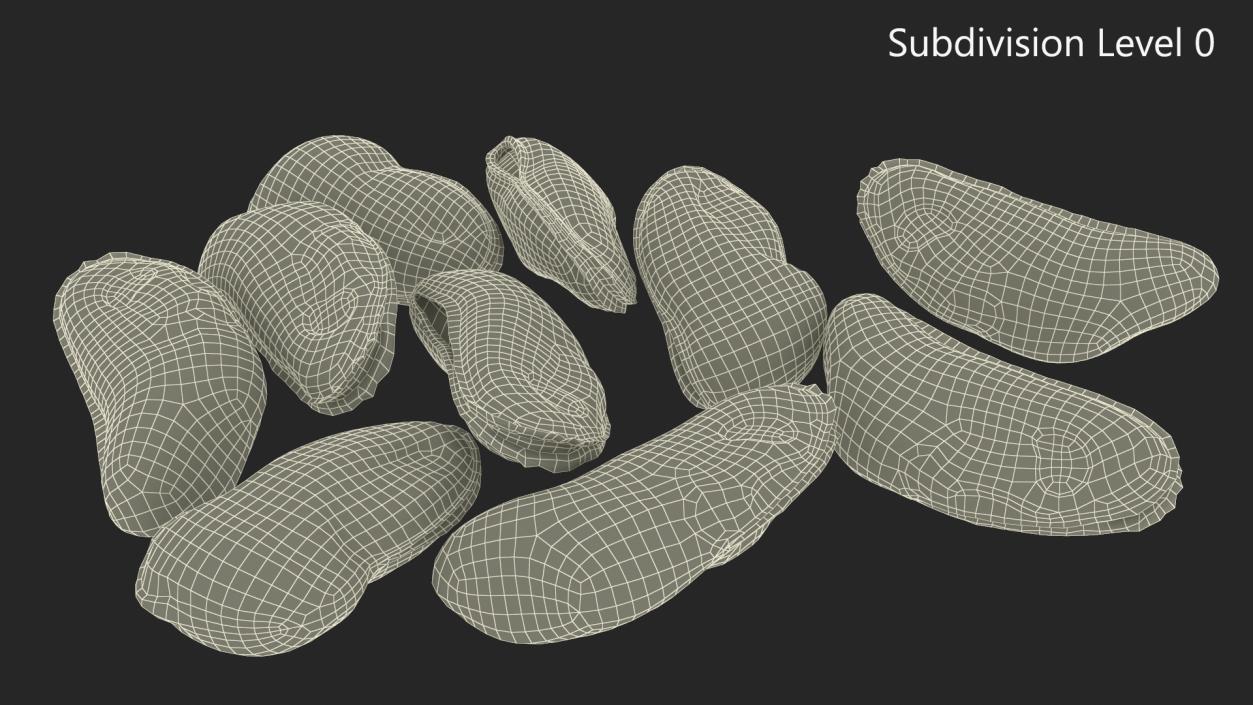 3D model Bunch of Peeled Mussels 2