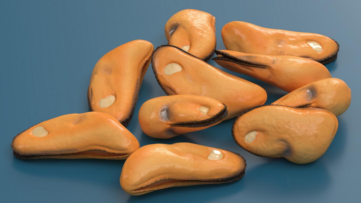 3D model Bunch of Peeled Mussels 2