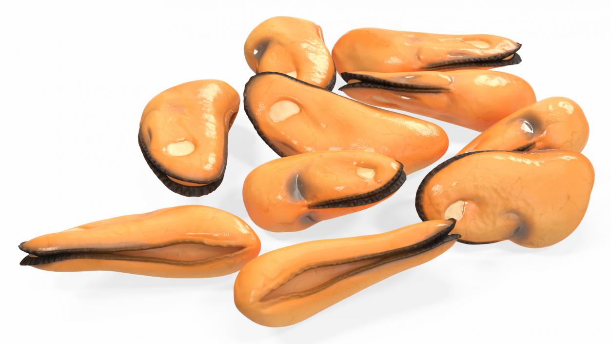 3D model Bunch of Peeled Mussels 2