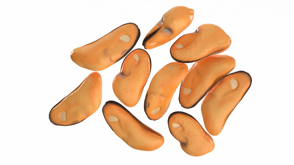 3D model Bunch of Peeled Mussels 2