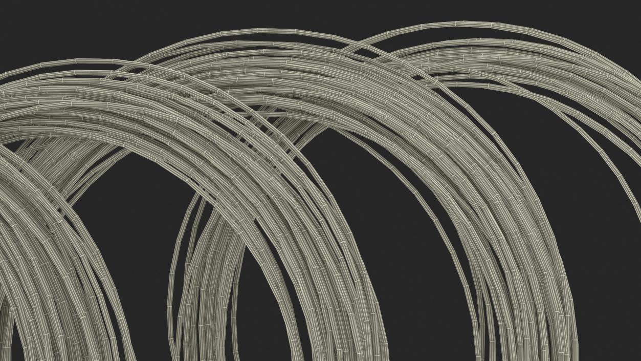 3D Twisted Stainless Steel Wire model