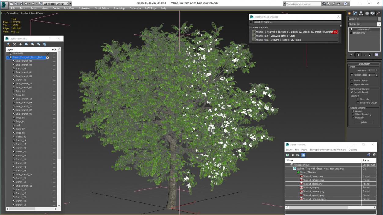 Walnut Tree with Green Nuts 3D