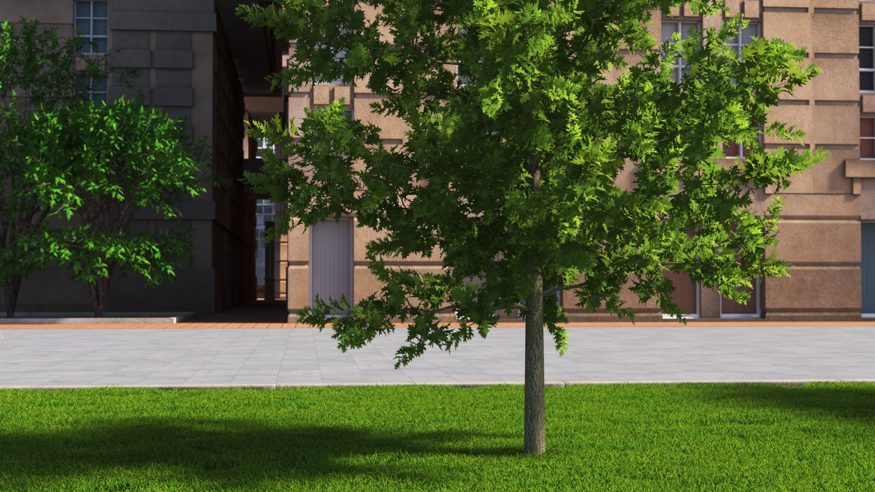 3D model Oak Tree