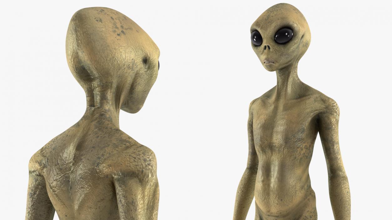 3D Standing Humanoid Alien model