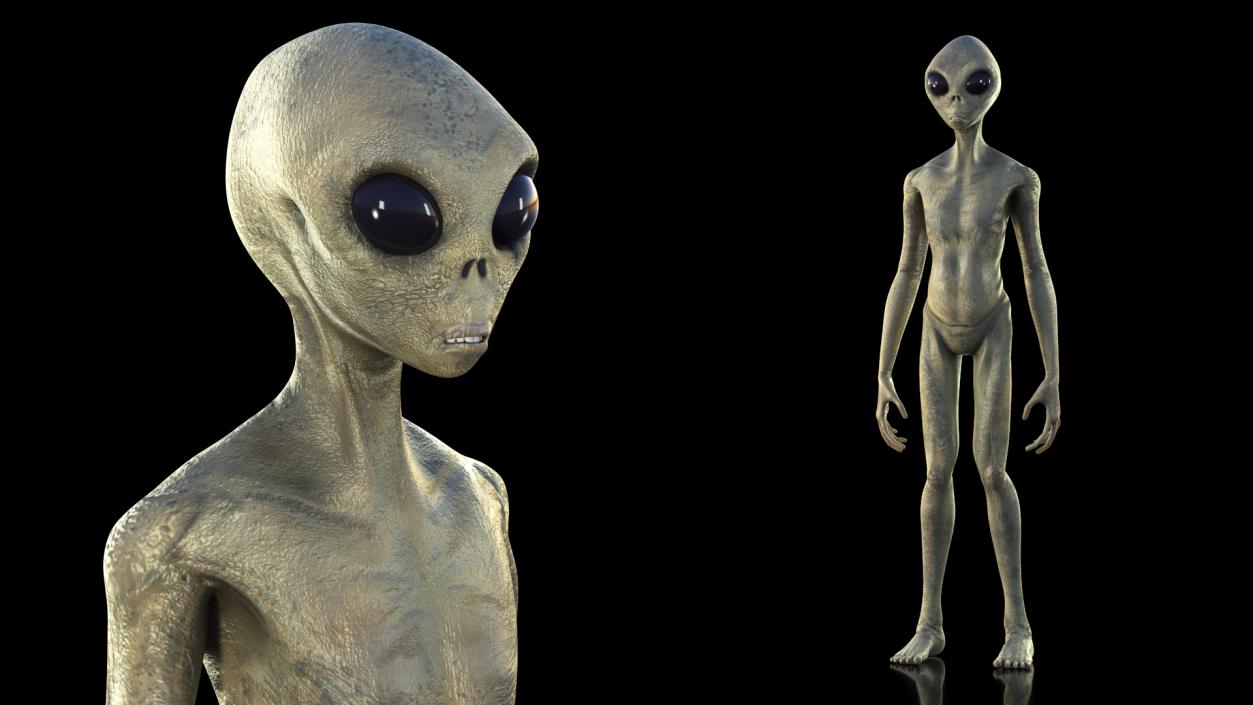 3D Standing Humanoid Alien model