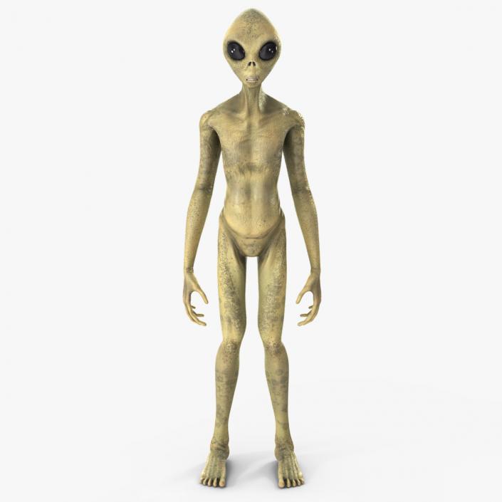 3D Standing Humanoid Alien model