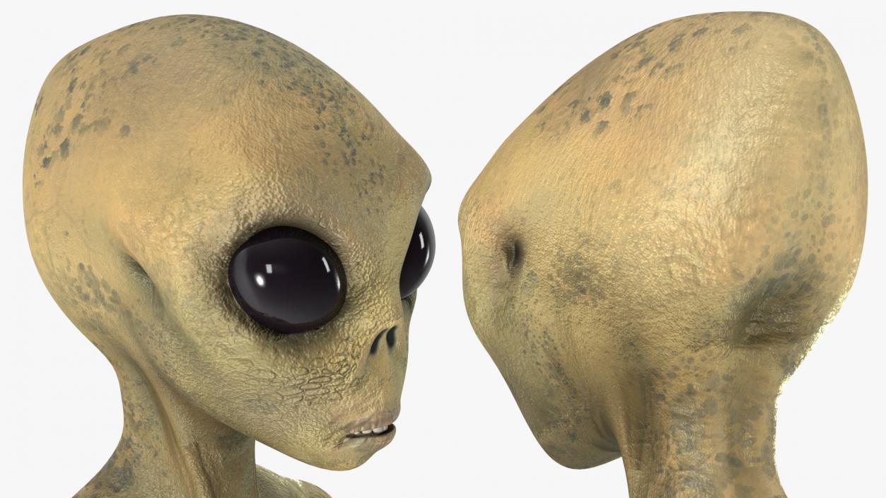 3D Standing Humanoid Alien model