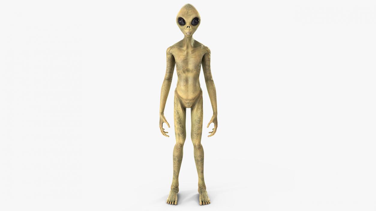 3D Standing Humanoid Alien model