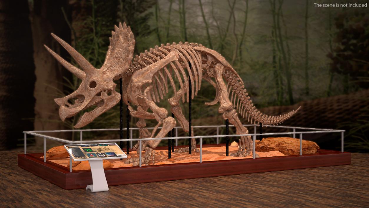 3D Triceratops Fossil Walking Pose