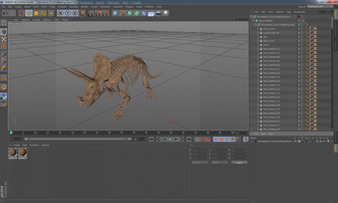 3D Triceratops Fossil Walking Pose