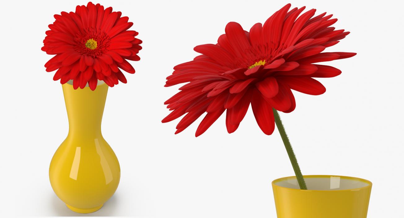 3D model Red Gerbera Daisy In Vase