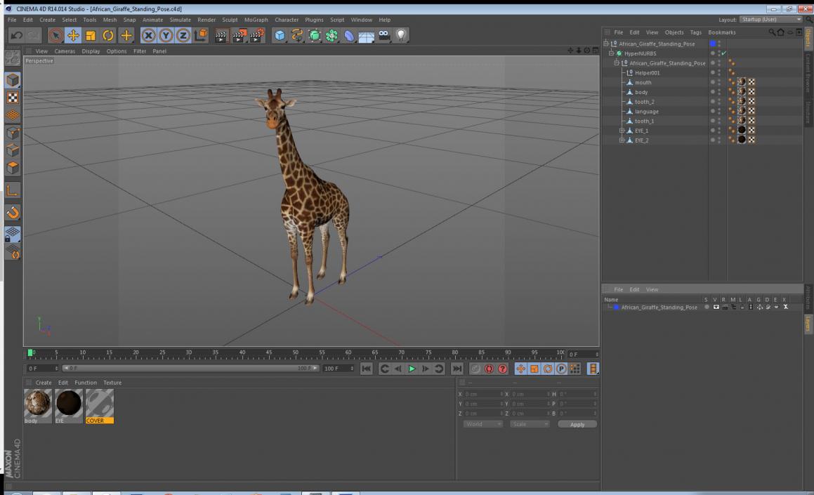 African Giraffe Standing Pose 3D model