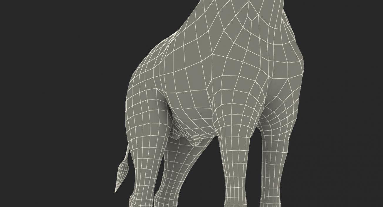 African Giraffe Standing Pose 3D model