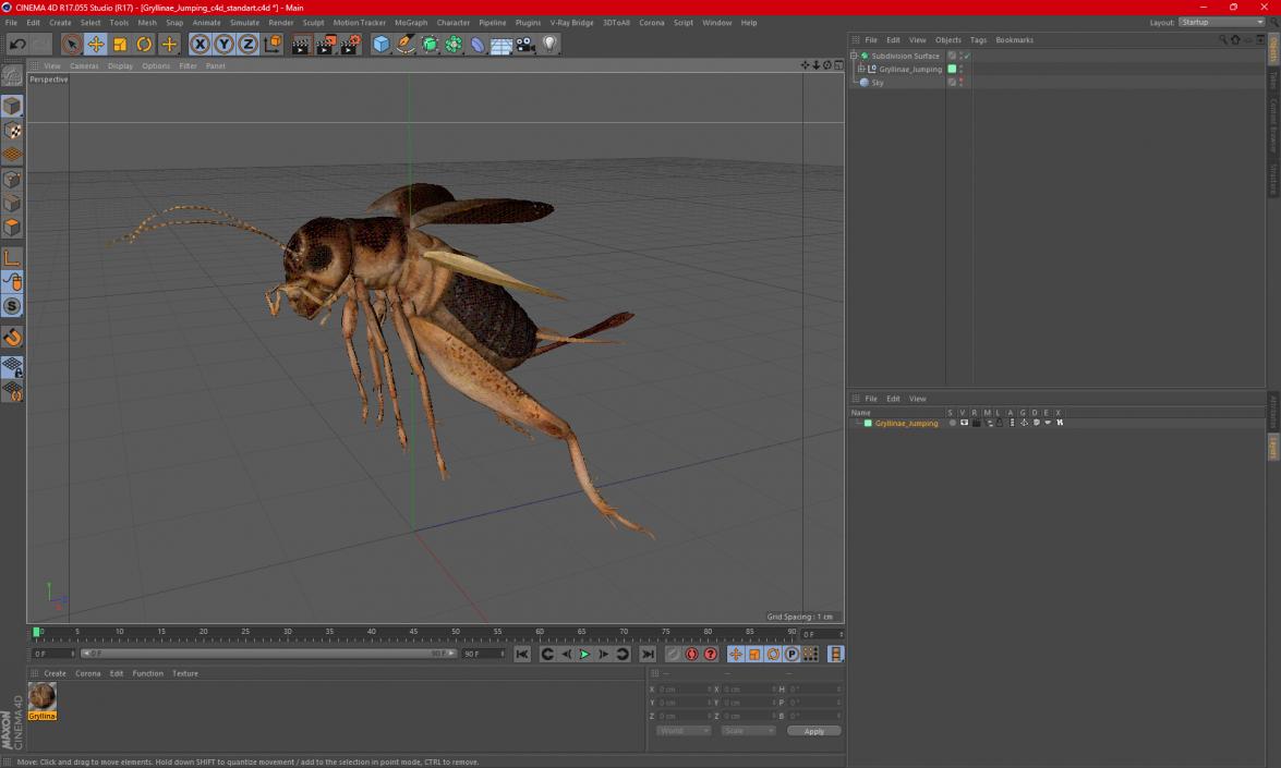 Gryllinae Jumping 3D