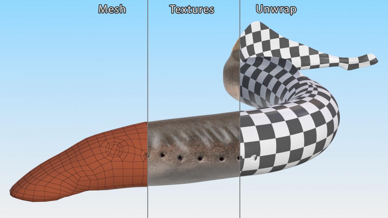 Lamprey Motion pose 3D model