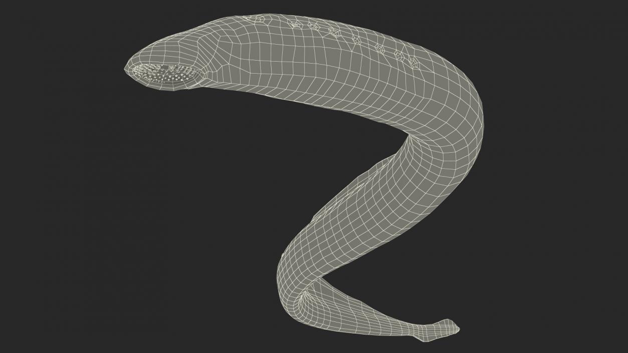 Lamprey Motion pose 3D model