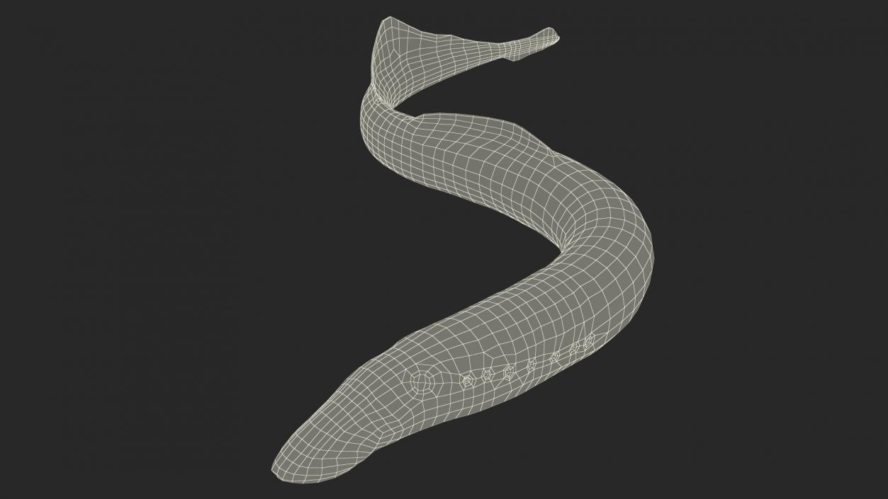 Lamprey Motion pose 3D model